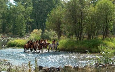 AIANTA to Highlight Tribes Along Lewis and Clark National Historic Trail