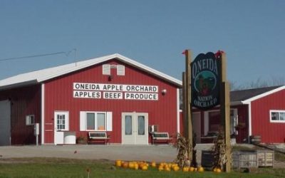 Oneida Big Apple Fest: Developing An Agricultural Festival