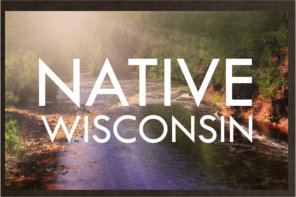 AIANTA Forms Partnership with NATOW, Tribal Nations of Wisconsin