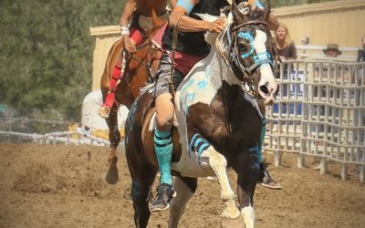 The Excitement of Indian Relay Horse Racing