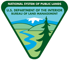 BLM Logo