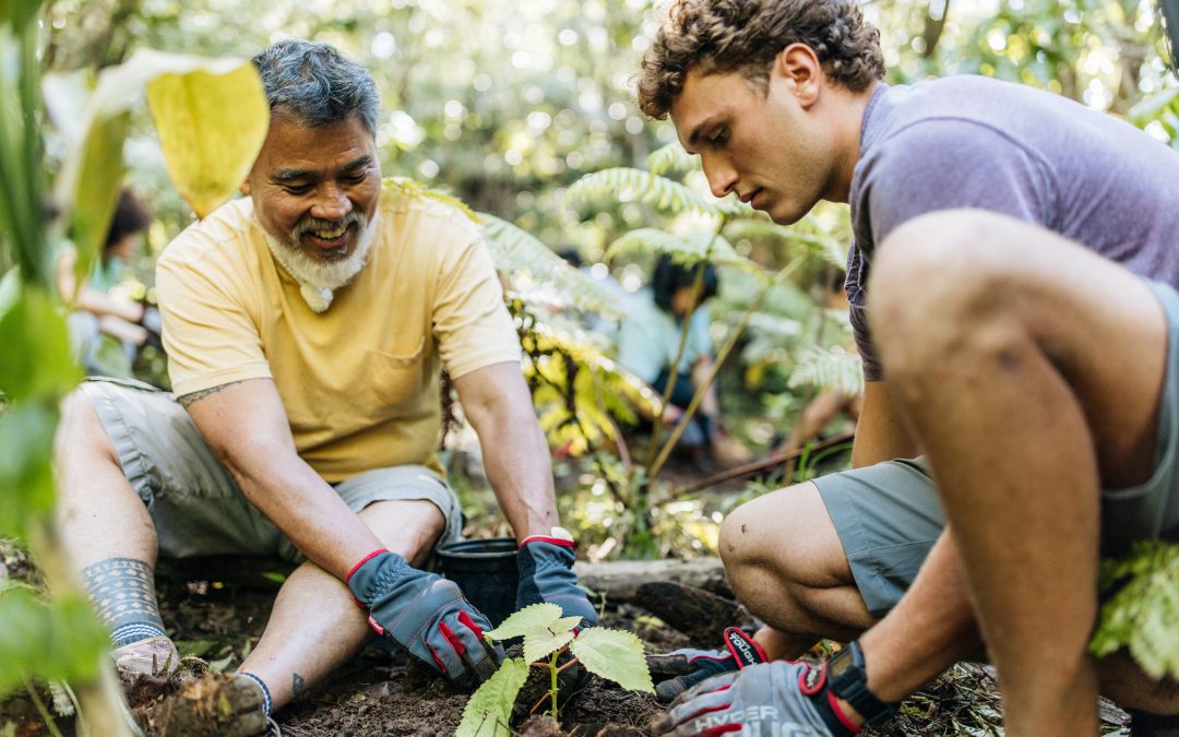 Webinar: Building Collaborative Tourism in Hawai’i