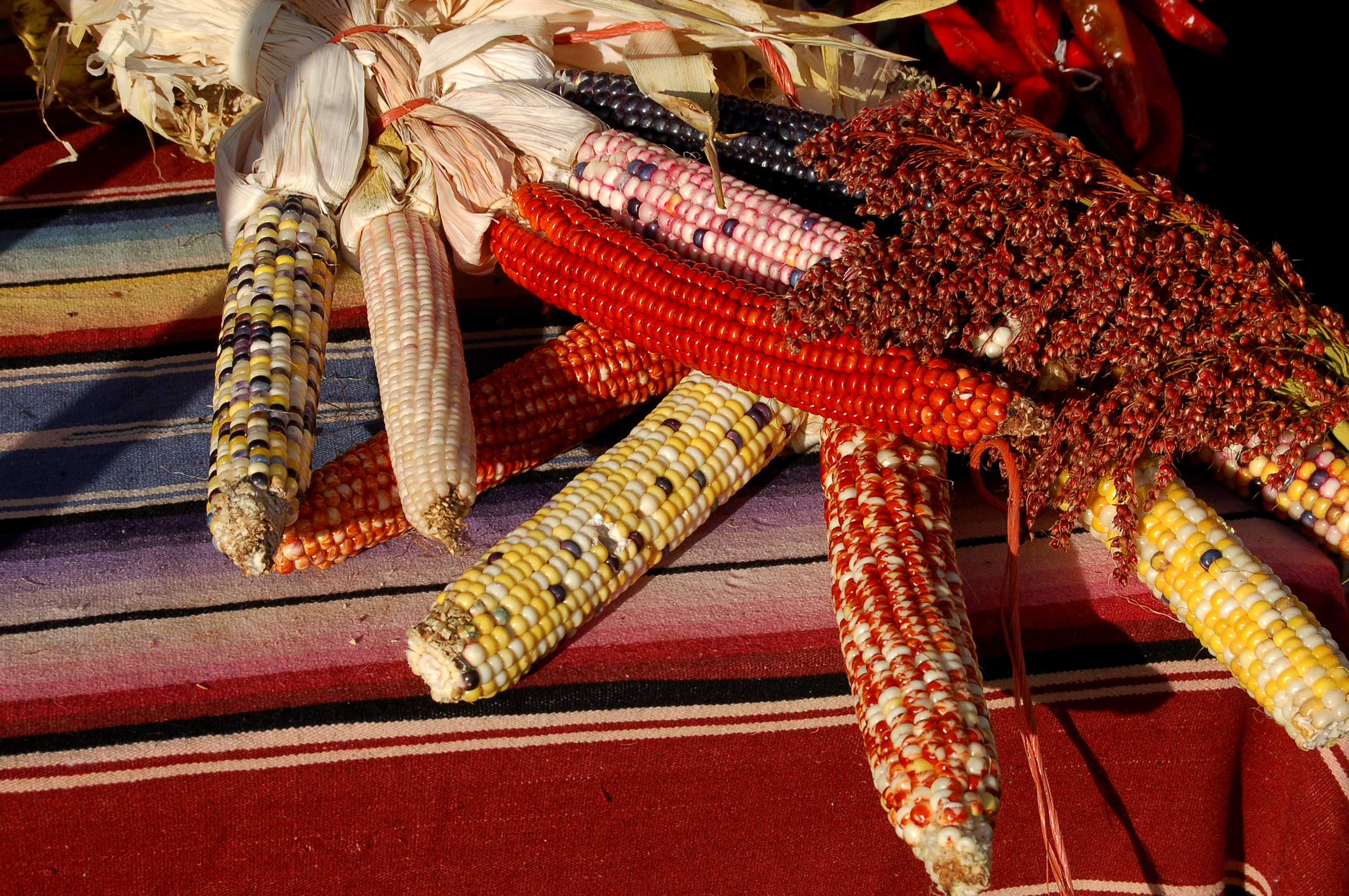 Indian-corn-Amaranth