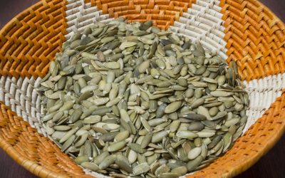 Seed Savers and Food Sovereignty