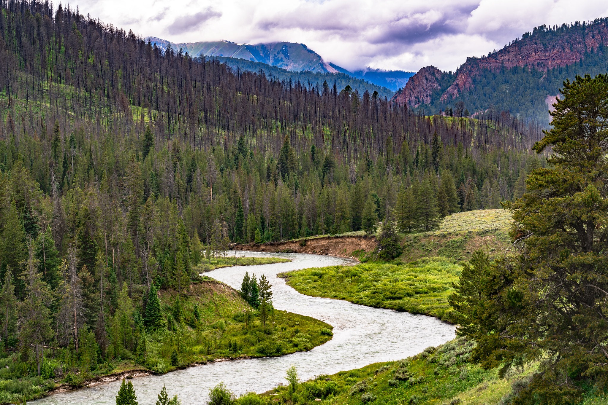 USFS
